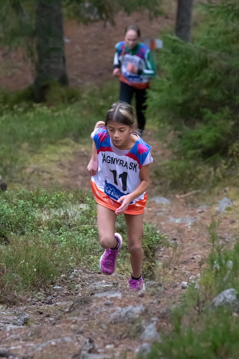 Foto: Ingvar Åslund