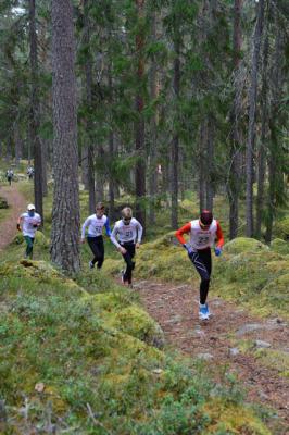 HACKMORA BERGSLOPP 2019