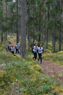 HACKMORA BERGSLOPP 2019