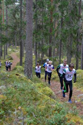 HACKMORA BERGSLOPP 2019