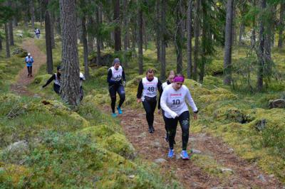 HACKMORA BERGSLOPP 2019